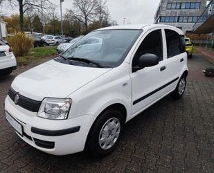 Fiat Fiat Panda 1.2 Classic Gebrauchtwagen