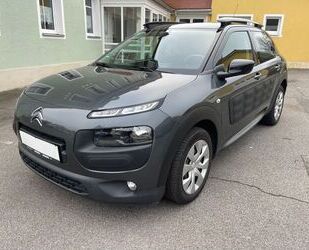 Citroen Citroën C4 Cactus Business Class Gebrauchtwagen