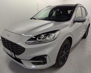 Ford Ford Kuga 2.5l FHEV Graphite Tech Edition ST-Line Gebrauchtwagen