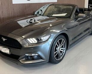 Ford Ford Mustang Basis Convertible Gebrauchtwagen