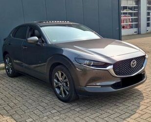 Mazda Mazda CX-30 Selection 360Kamera Leder Panorama AC Gebrauchtwagen