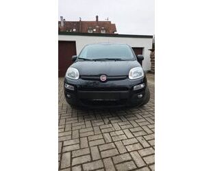 Fiat Fiat Panda 1.2 More Gebrauchtwagen