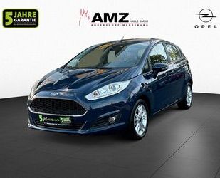 Ford Ford Fiesta 1.0 EcoBoost W-Paket 8-Fach Bereift Gebrauchtwagen