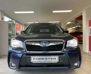 Subaru Subaru Forester 2.0 XT*Platinum* Xenon*SHZ*PTC*AHZ Gebrauchtwagen