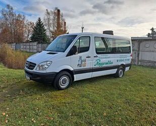 Mercedes-Benz Mercedes-Benz Sprinter Gebrauchtwagen