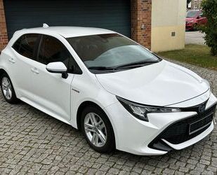 Toyota Toyota Corolla Hybrid Business Edition Gebrauchtwagen