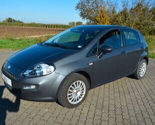 Fiat Fiat Punto Pop 1.2 Scheckheftgepflegt! Gebrauchtwagen