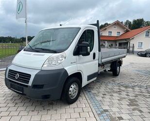 Fiat Fiat Ducato Pritsche Lang 35 L4H1 AHK Maxi Gebrauchtwagen