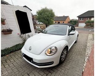 VW Volkswagen Beetle 1.2 TSI BMT CLUB Cabriolet CLUB Gebrauchtwagen