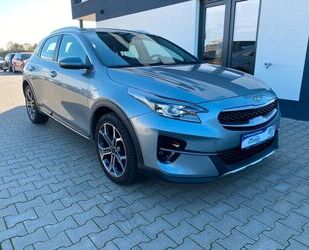 Kia Kia XCeed Platinum Edition|R-Kam|Led|Navi Gebrauchtwagen