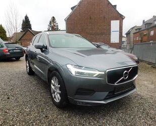 Volvo Volvo XC 60 XC60 Momentum Pro AWD Kamera Panorama Gebrauchtwagen