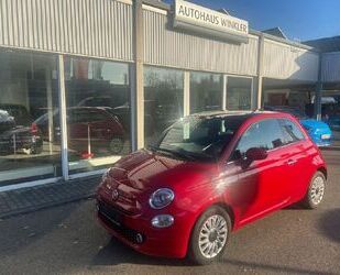 Fiat Fiat 500 Lim. Red Gebrauchtwagen