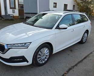 Skoda Skoda Octavia Combi Active erst 5700 km Gebrauchtwagen