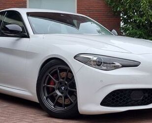 Alfa Romeo Alfa Romeo Giulia 2.0 Turbo 16V 147kW AT8 Super Su Gebrauchtwagen