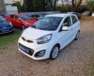 Kia Kia Picanto 1.2 Klimatro 86Tkm Sitzhzg ESP Scheckh Gebrauchtwagen