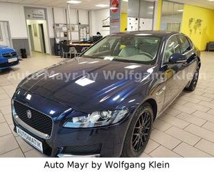 Jaguar Jaguar XF 2.0 Pure, Navi, Bi-Xenon, R-Dynamic, AHK Gebrauchtwagen