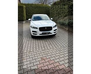 Jaguar Jaguar F-Pace 20d AWD Pure Automatik Pure Gebrauchtwagen