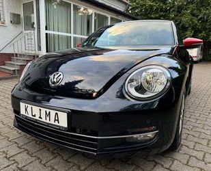 VW Volkswagen Beetle Lim. Club BMT Gebrauchtwagen