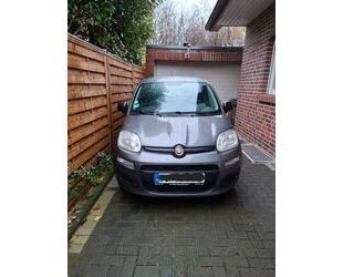 Fiat Fiat Panda 1,2 Easy Gebrauchtwagen