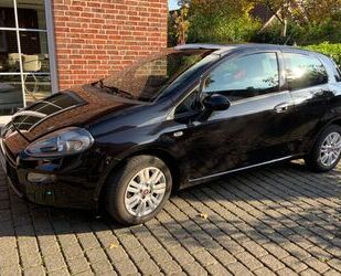 Fiat Fiat Punto 1.2 8V POP POP Gebrauchtwagen