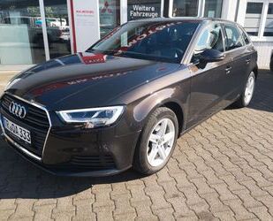 Audi Audi A3 2.0 TDI QUATTRO Stand- Sitzheizung LED uvm Gebrauchtwagen