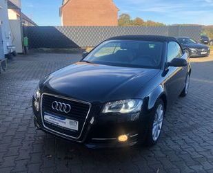 Audi Audi A3 Cabriolet Ambition*SHZ*BI-XENON*SPORT Gebrauchtwagen