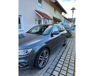 Audi Audi SQ5 3.0 TDI - TÜV NEU-PANO-B&O Gebrauchtwagen