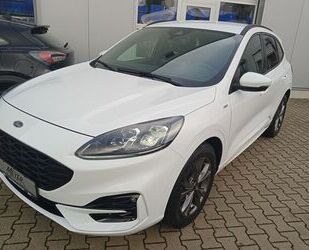 Ford Ford Kuga ST-Line X 2.0 EcoBlue Hybrid Gebrauchtwagen