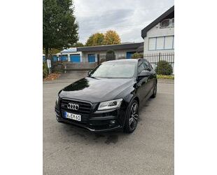 Audi Audi SQ5 3.0 TDI Competition Plus **Panorama** Gebrauchtwagen