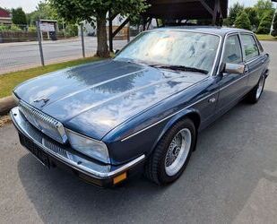 Jaguar Jaguar Daimler XJ40 orig. 20 000 KM Klimaanlage Gebrauchtwagen