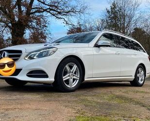 Mercedes-Benz Mercedes-Benz E 220 BlueTEC BE T Edition AVANTG. A Gebrauchtwagen