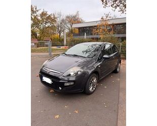 Fiat Fiat Punto 1.2 8V Start/Stopp, Allwetterreifen Gebrauchtwagen