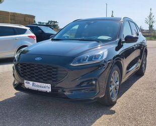 Ford Ford Kuga 1.5 Eco ST-Line X *HuD/LED/ACC/Frontkame Gebrauchtwagen