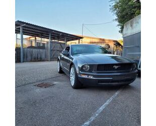 Ford Ford Mustang V6 Gebrauchtwagen