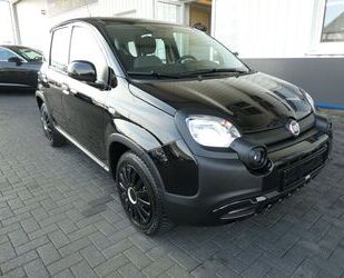 Fiat Fiat Panda City Plus Gebrauchtwagen