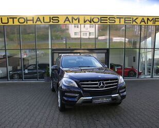 Mercedes-Benz Mercedes-Benz ML 350 PANO*AHK*RFK*HARMAN.K*STANDHE Gebrauchtwagen