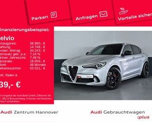 Alfa Romeo Alfa Romeo Stelvio 2.9 V6 Bi-turbo Pano ACC Kamera Gebrauchtwagen