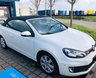 VW Volkswagen Golf 2.0 TSI GTI Cabriolet GTI Gebrauchtwagen