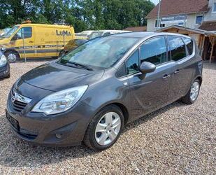 Opel Opel Meriva B Design Edition Gebrauchtwagen