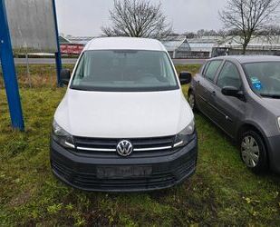 VW Volkswagen Caddy Nfz Maxi Kasten BMT Gebrauchtwagen