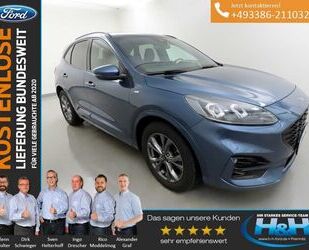 Ford Ford Kuga 1.5 EcoB ST-Line X iACC+AHK+Kamera Gebrauchtwagen