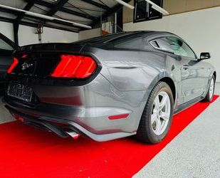 Ford Ford Mustang 2.3 EcoBoost -6-Gang Schalter -Faceli Gebrauchtwagen