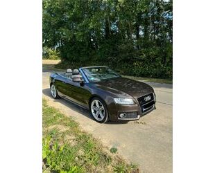 Audi Audi A5 3.0 TDI (DPF) S tronic quattro Cabriolet - Gebrauchtwagen