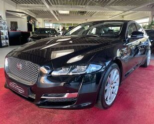 Jaguar Jaguar XJ Luxury 3.0 V6 Diesel*Pano*Keyless*LED*So Gebrauchtwagen