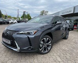 Lexus UX Gebrauchtwagen