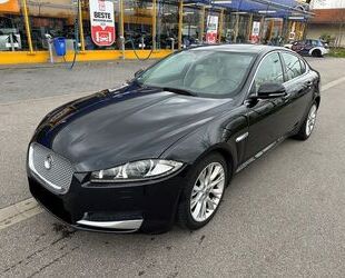 Jaguar Jaguar XF 2.2L Diesel - Top gepflegt & treu fürn A Gebrauchtwagen