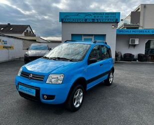 Fiat Fiat Panda 1.2 Climbing 4X4 überholter Motor bei 1 Gebrauchtwagen