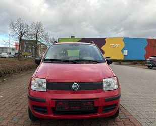 Fiat Fiat Panda 1.2 8V Trekking 4X4 Gebrauchtwagen