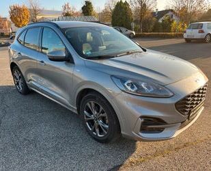 Ford Ford Kuga ST-LINE 1.5 Ecoboost X*LED* Gebrauchtwagen