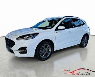 Ford Ford Kuga ST-Line Gebrauchtwagen